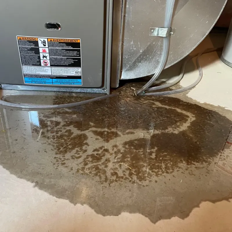 Appliance Leak Cleanup in East Moriches, NY